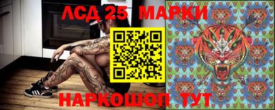 гашик Нальчик