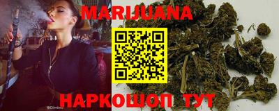 гашик Нальчик
