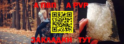 гашик Нальчик