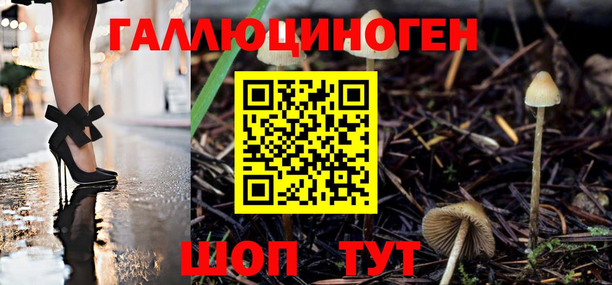 Псилоцибиновые грибы ЛСД  где можно купить   Хабаровск  Псилоцибиновые грибы Magic Shrooms  Вход с VPN 